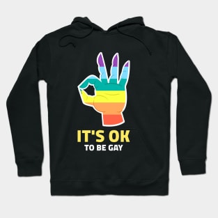 It's ok to be gay Hoodie